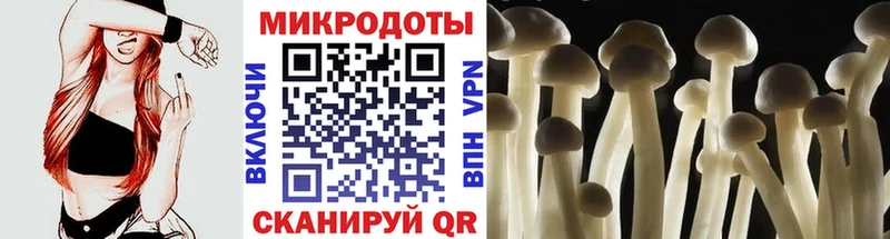 Псилоцибиновые грибы мицелий  Купить  Юрюзань 